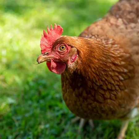 La Casona De Hotel Hermosa