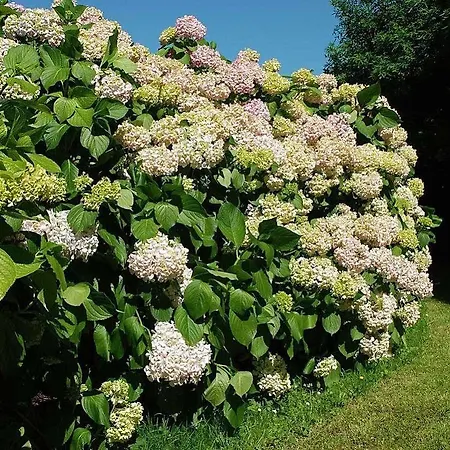 La Casona De Hermosa