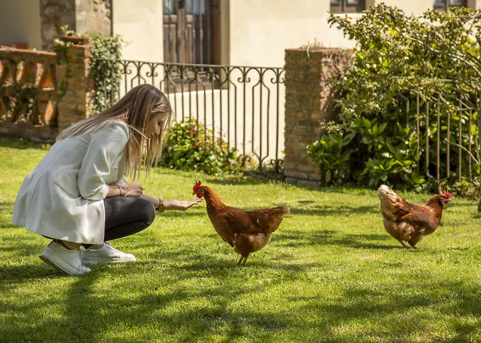 La Casona De 3* Hermosa