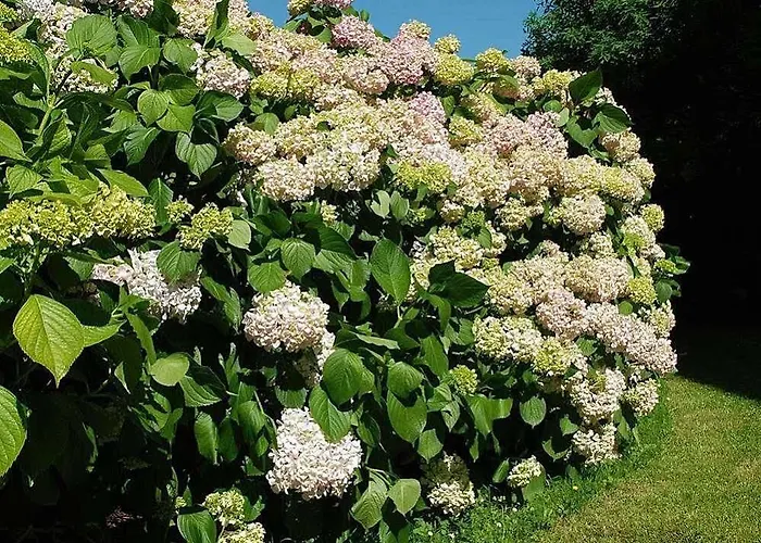 La Casona De Hermosa
